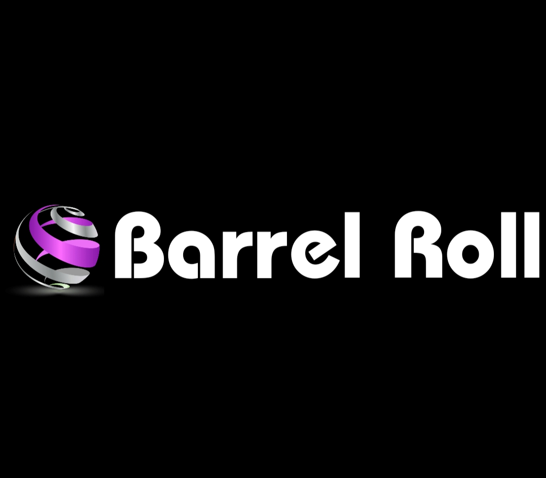 Play Do A Barrel Roll x200 on Google